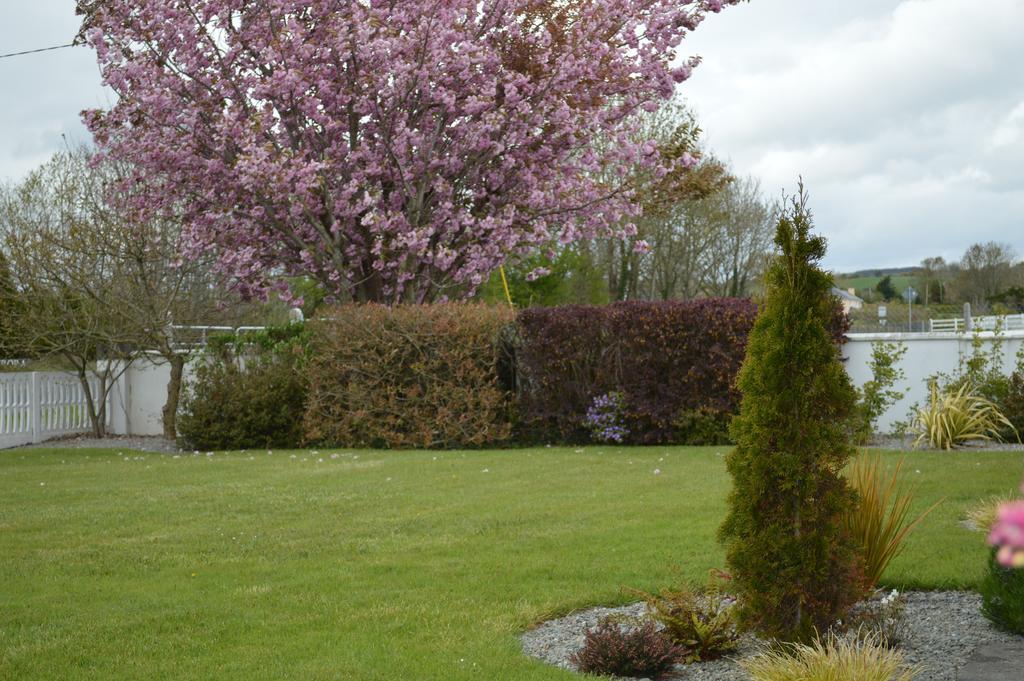 Caseys Homedale Killarney Dış mekan fotoğraf